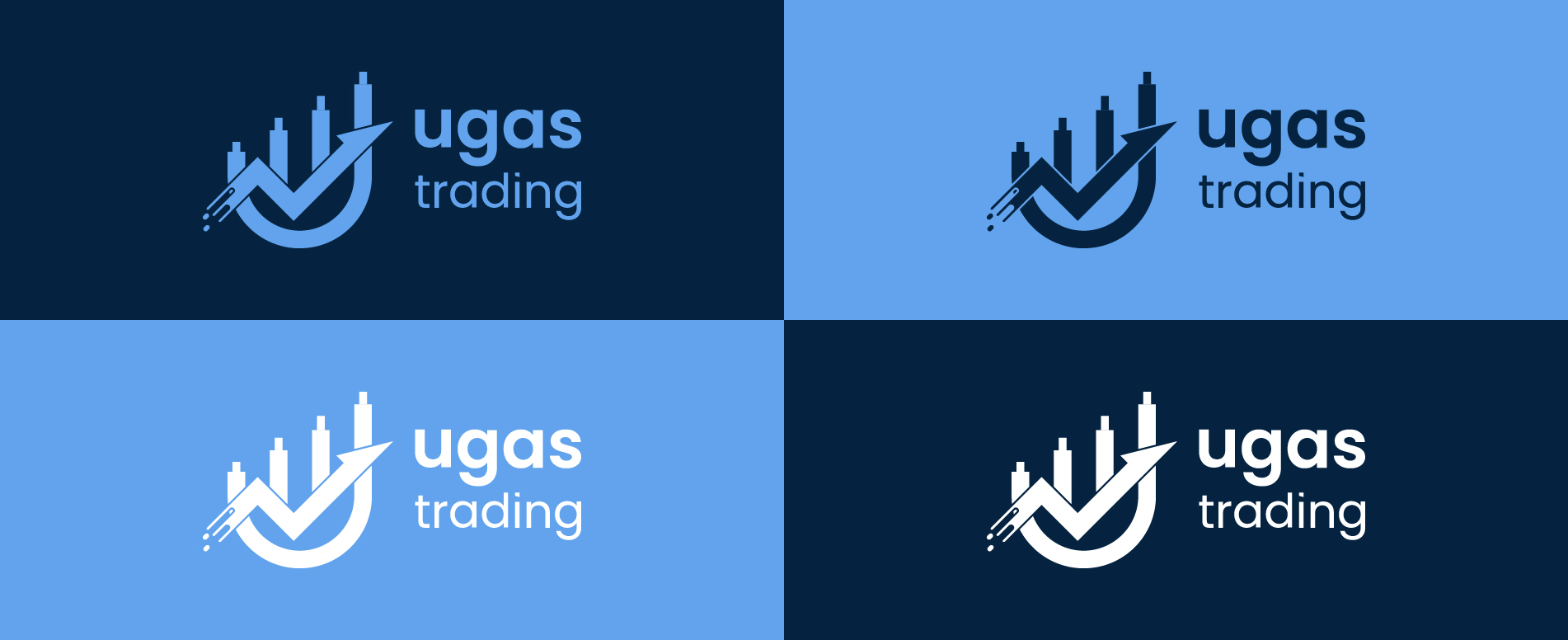 Project Process Step