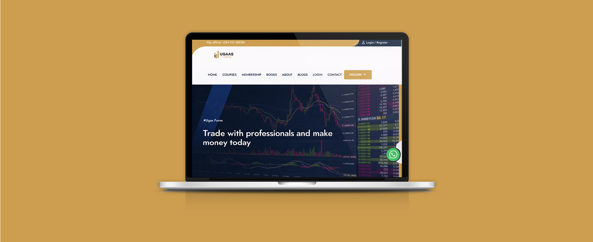 Project Process Step