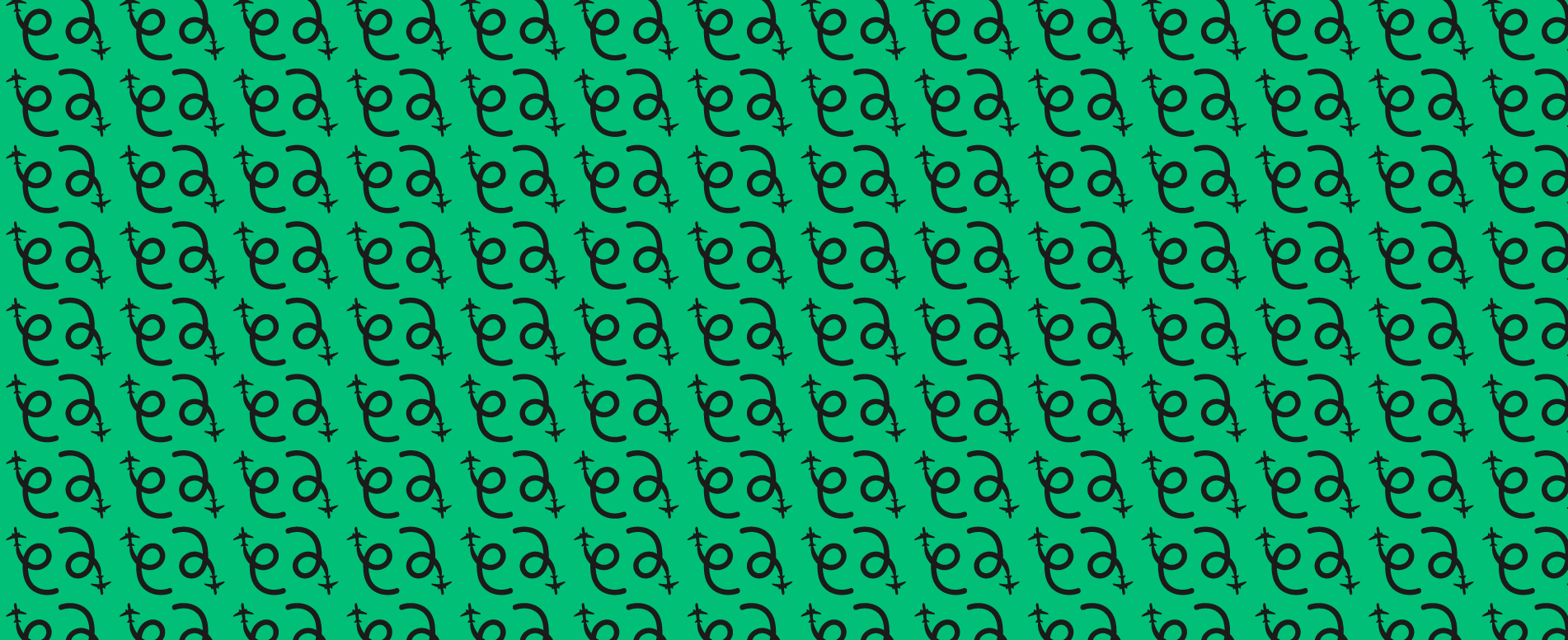 Project Process Step